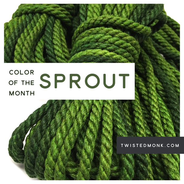 Color Of The Month: Sprout