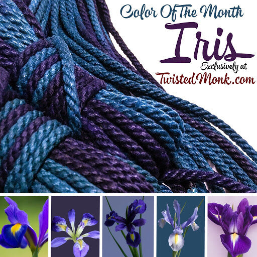 Color Of The Month: Iris