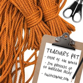 Color Of The Month: Teacher's Pet
