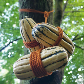 Seasonal Limited Edition Hemp - Pumpkin